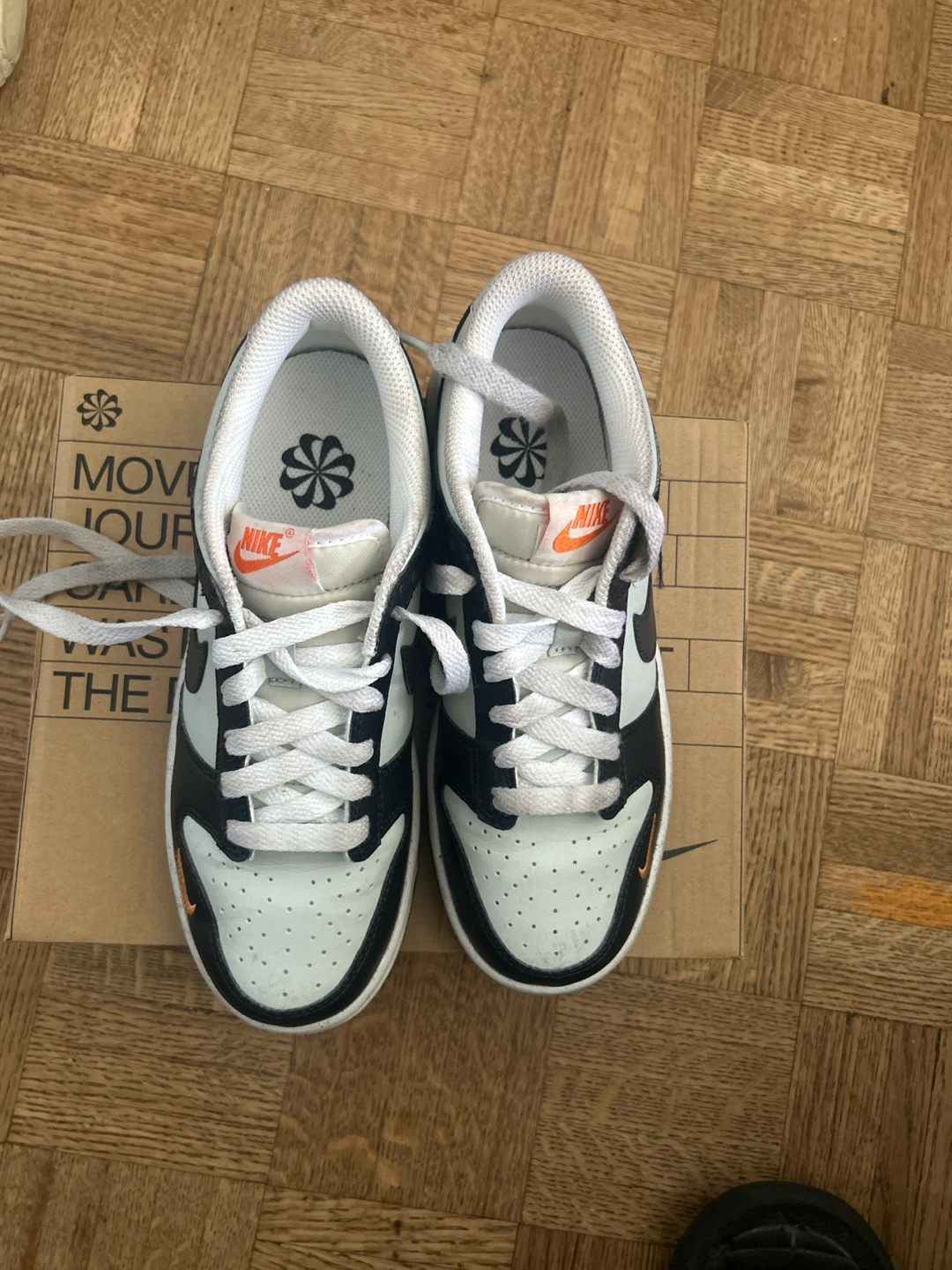 Nike Dunk Low GS Shoes