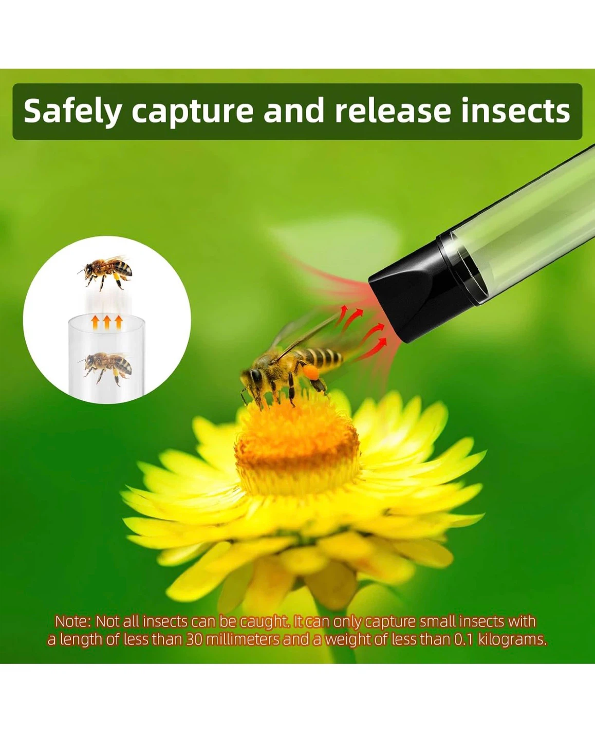 Brand New Bug Vacuum - photo 5