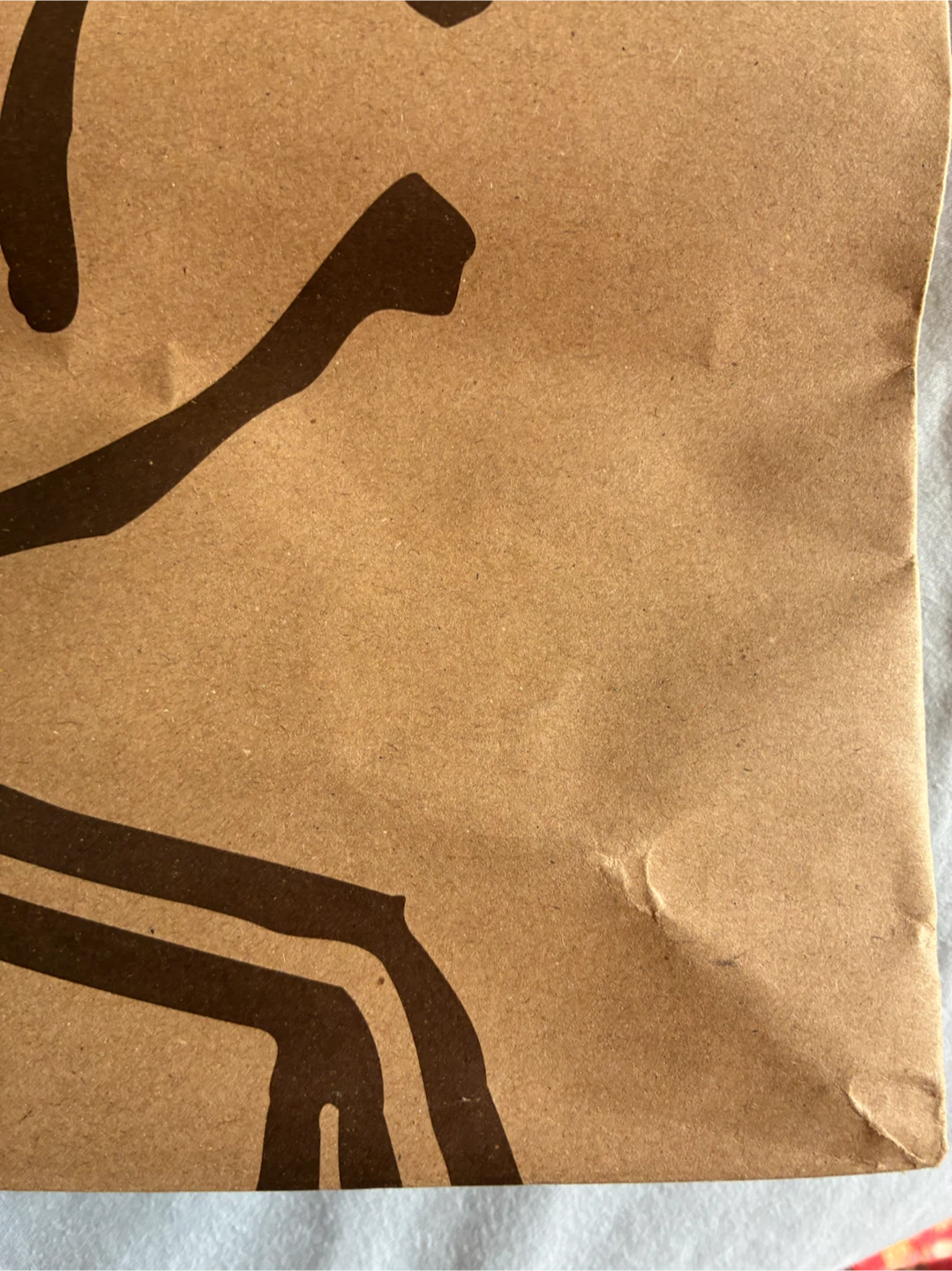 $3 Arc'teryx Paper Shopping Bag 16"x 15" x 7” Donlands O'Connor - photo 2