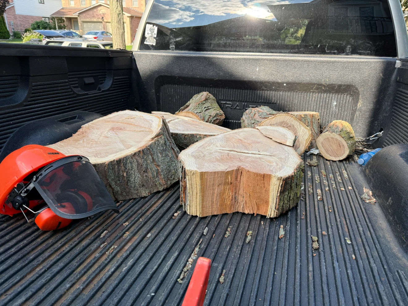 Dried hardwood