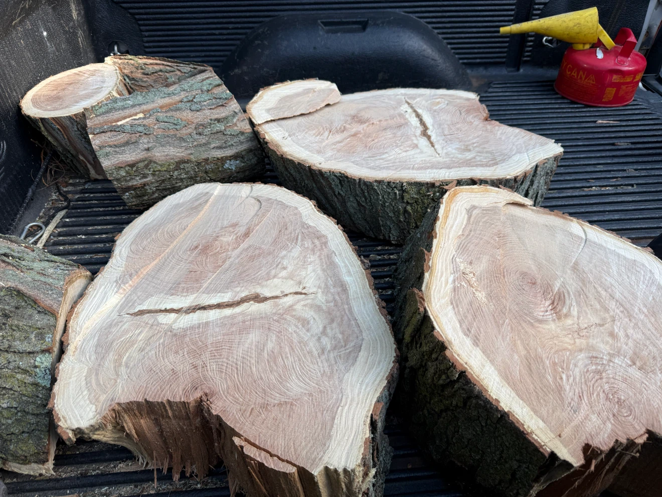 Dried hardwood - photo 2