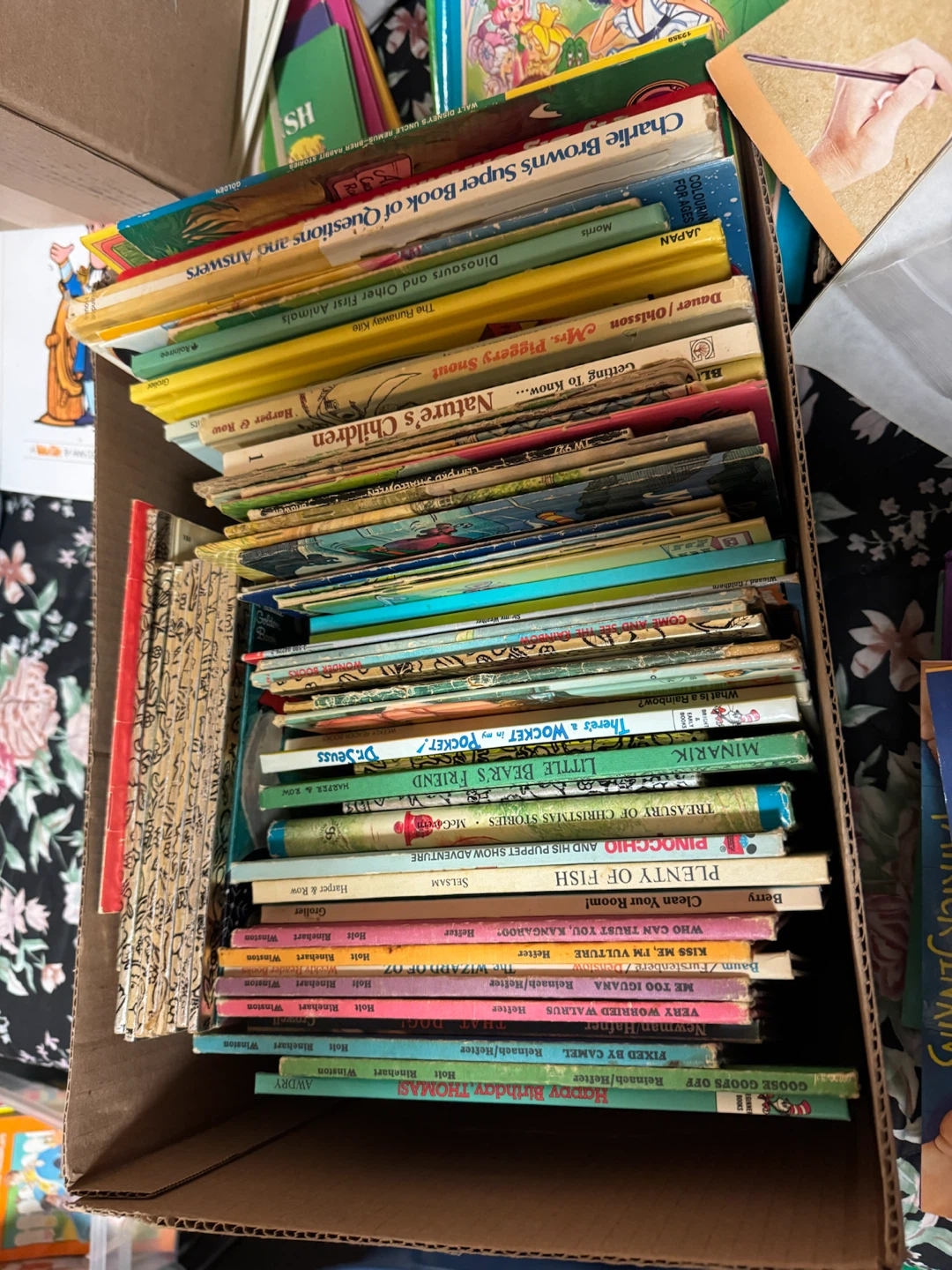 Mixed Lot of Children's Books