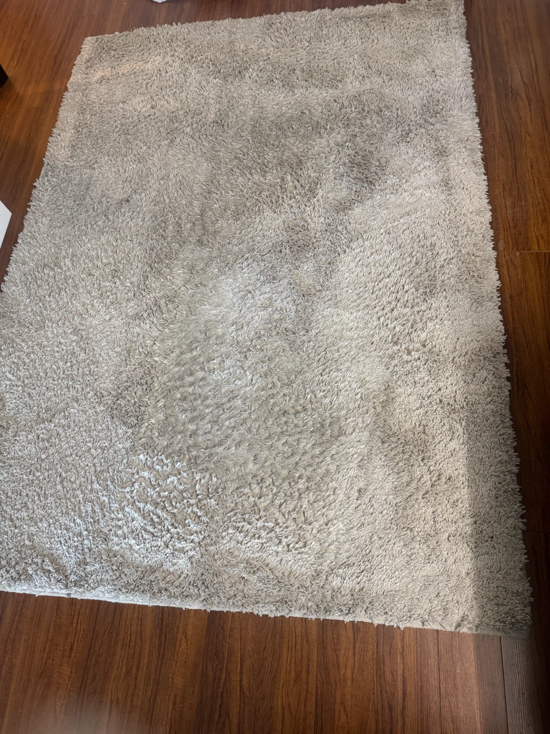 Shag Beige Area Rug