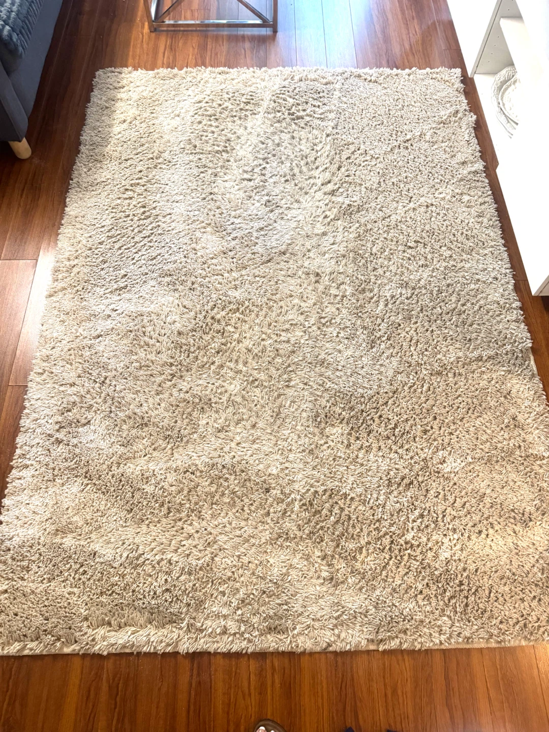 Shag Beige Area Rug - photo 2