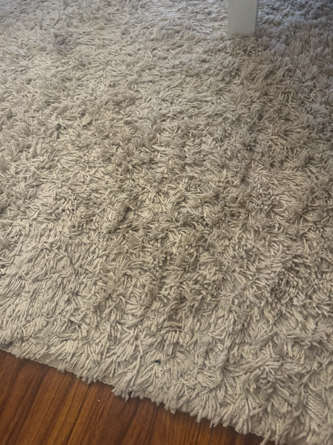 Shag Beige Area Rug - photo 3