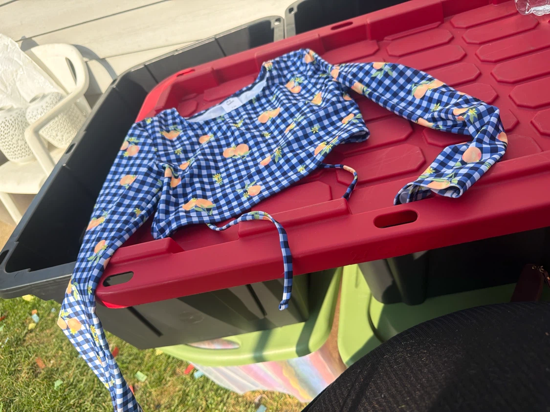 Blue Gingham Peach Print Long Sleeve Crop Top