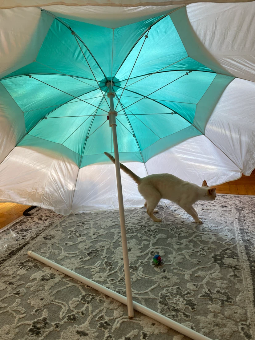 Large Beach Umbrella