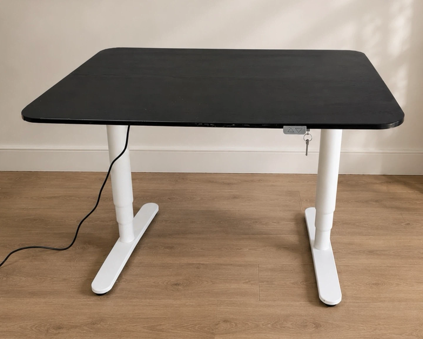 IKEA Adjustable Standing Desk - photo 2