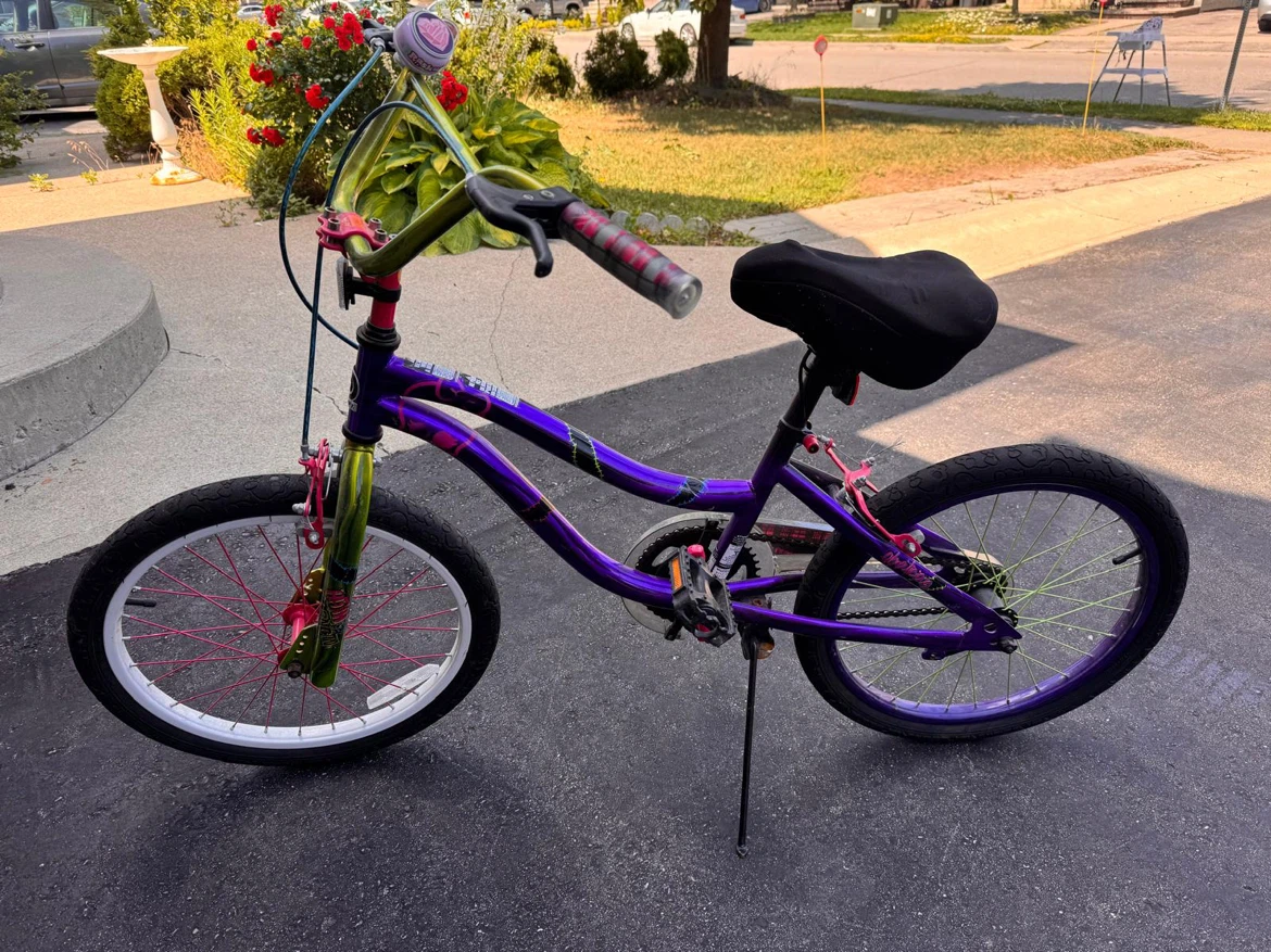 Dynacraft Monster High Kids Bicycle - photo 4