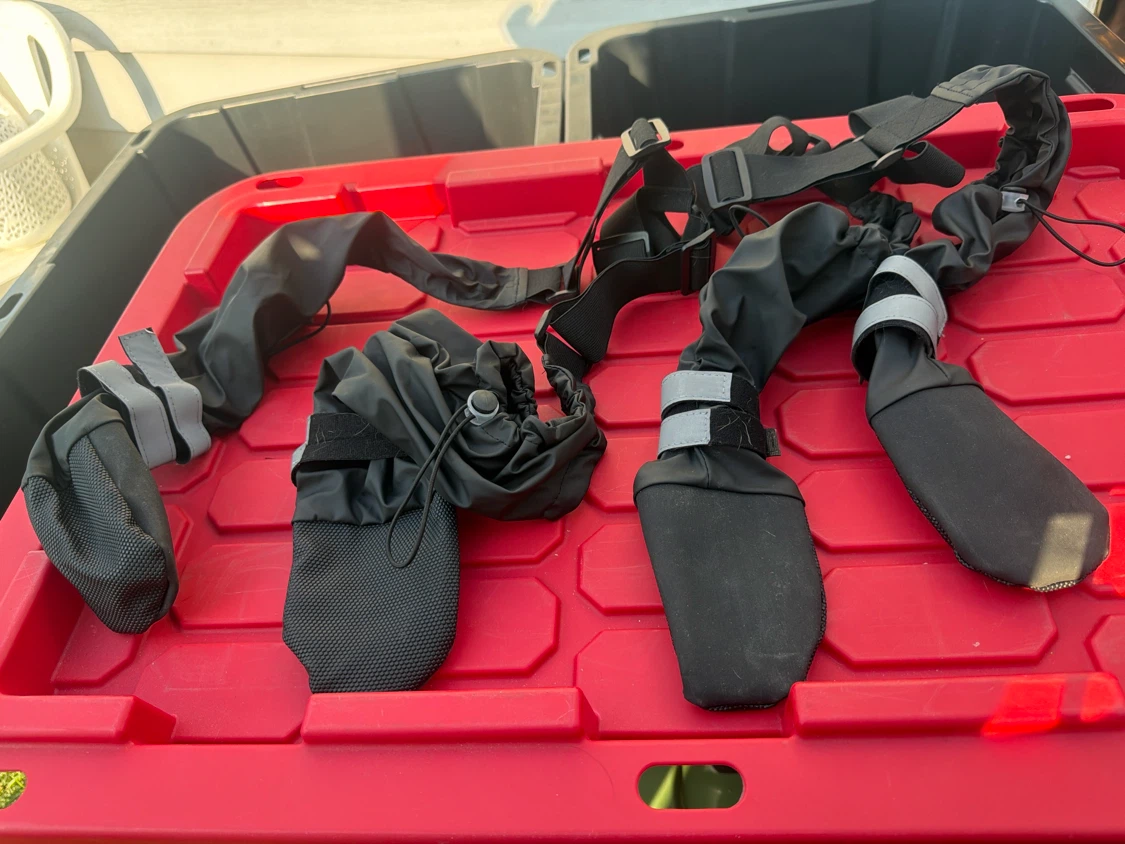 Black Dog Boots Paw Protection