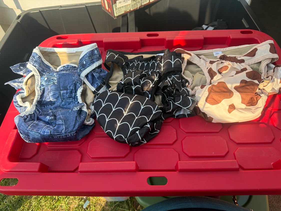 3 Reusable Pet Diapers (girl) XXL