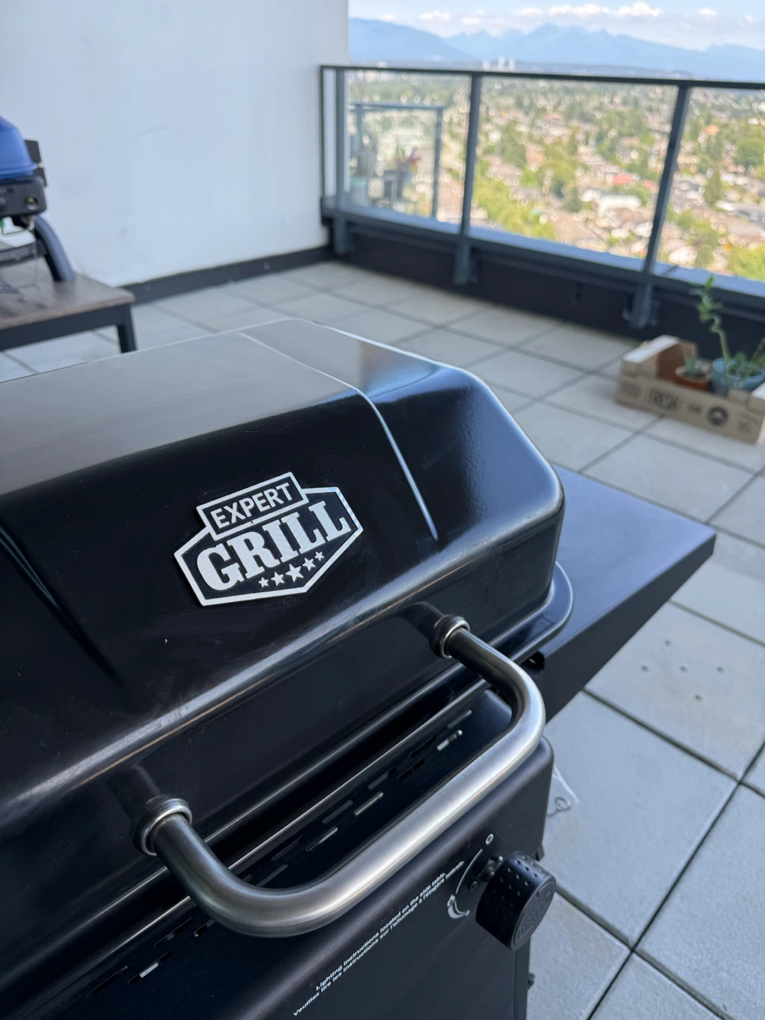 Expert Grill Propane BBQ
