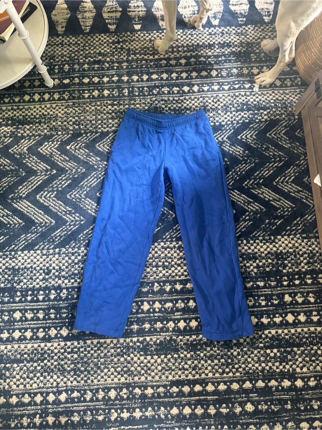 ARITZIA Blue Sweatpants