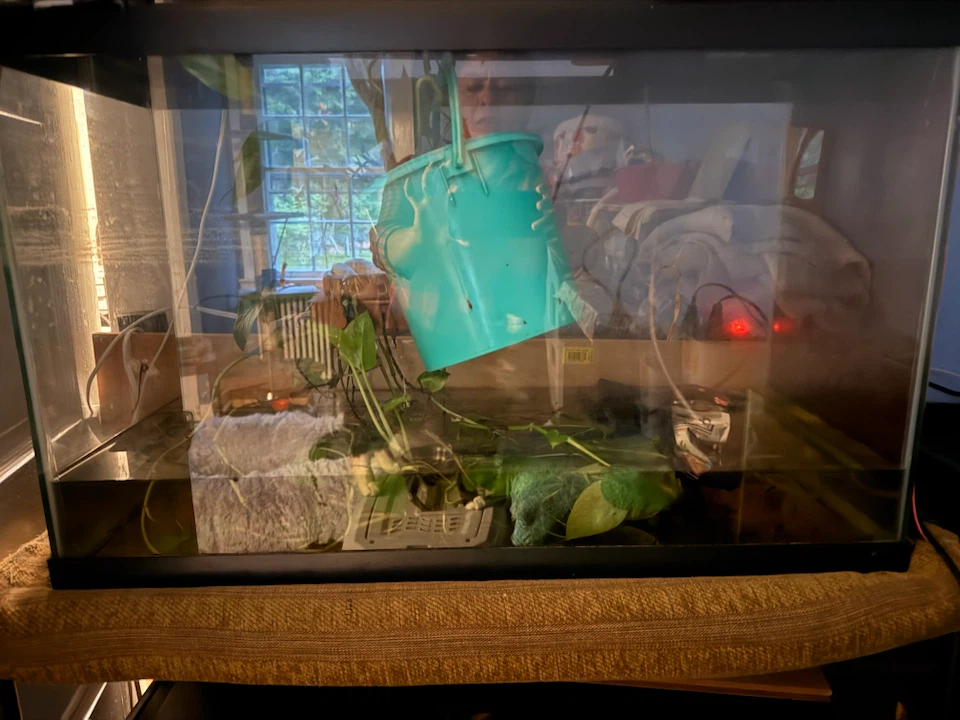 Glass Aquarium Tank - photo 2