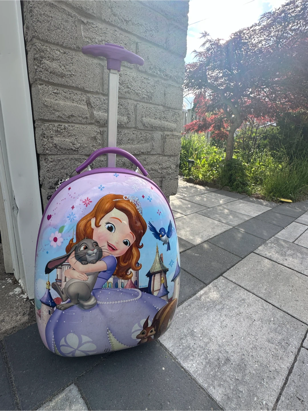 Kids luggage bag