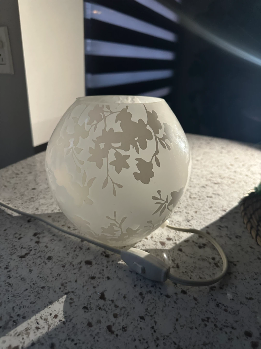 Decorative Frosted Glass Lamp with Floral Etching