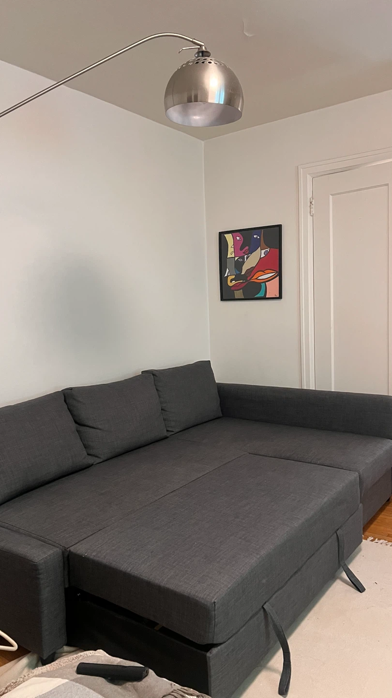 IKEA Sectional Sofa Bed with Storage - Dark Grey - photo 4