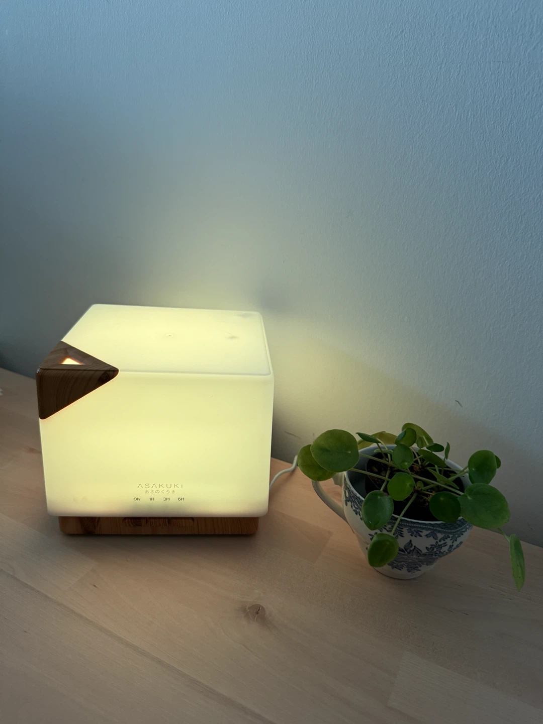 ASAKUKI Oil Diffuser