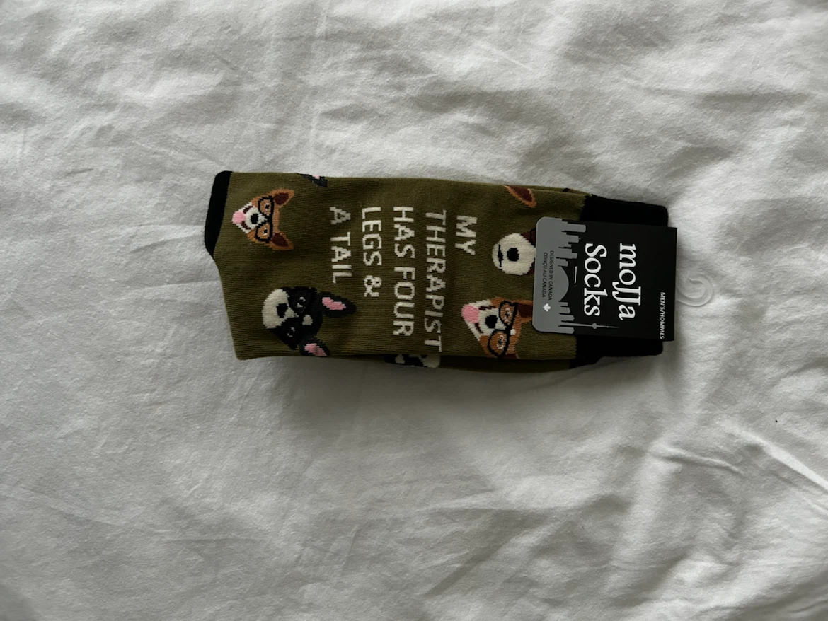 Molja Socks Men's Funny Dog Graphic Socks