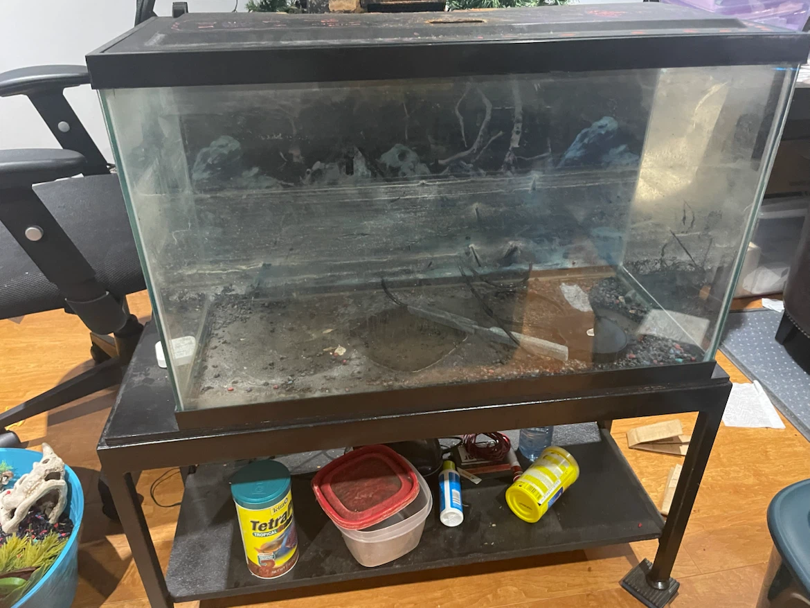 Glass Aquarium Tank