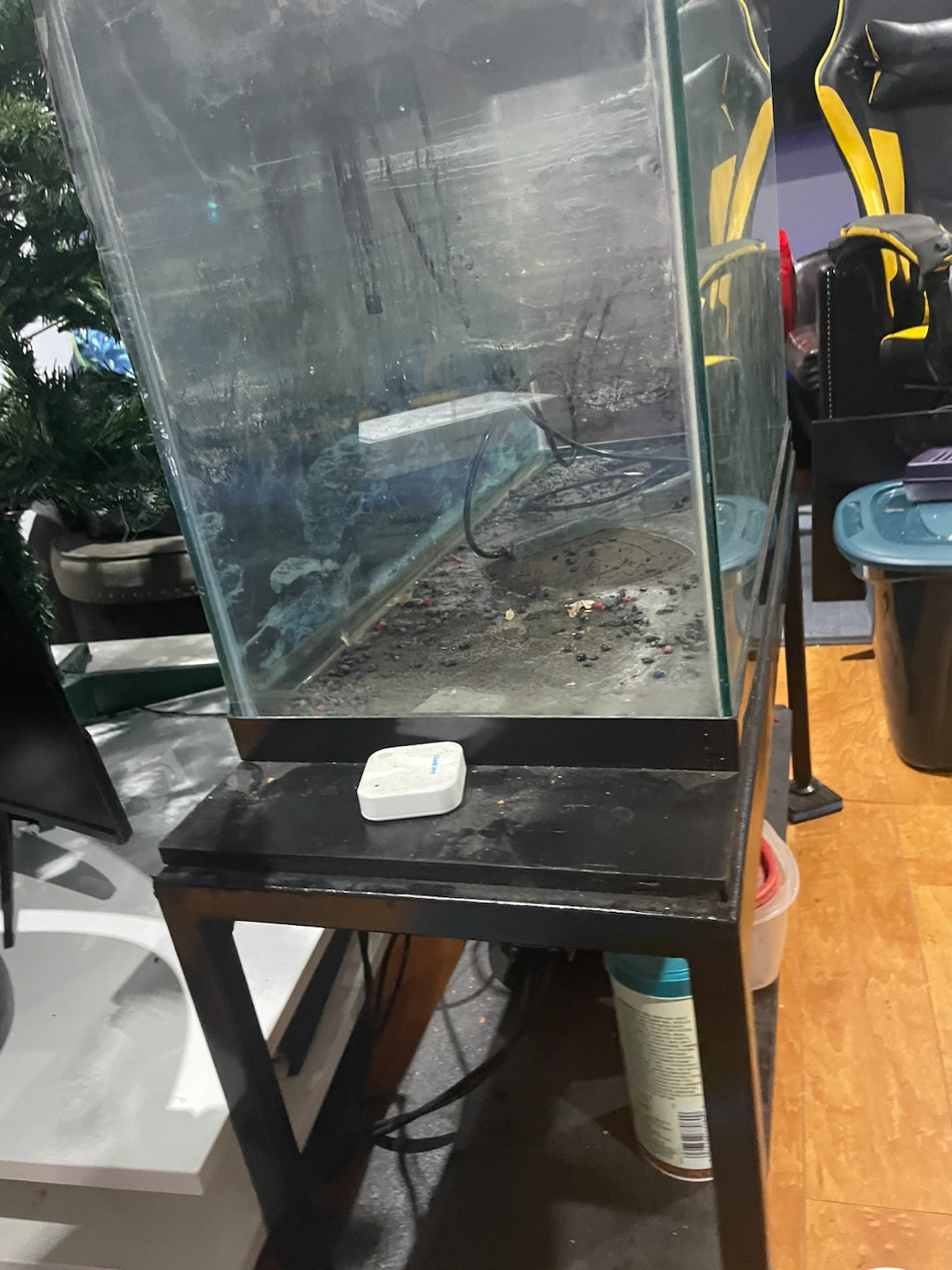 Glass Aquarium Tank - photo 2
