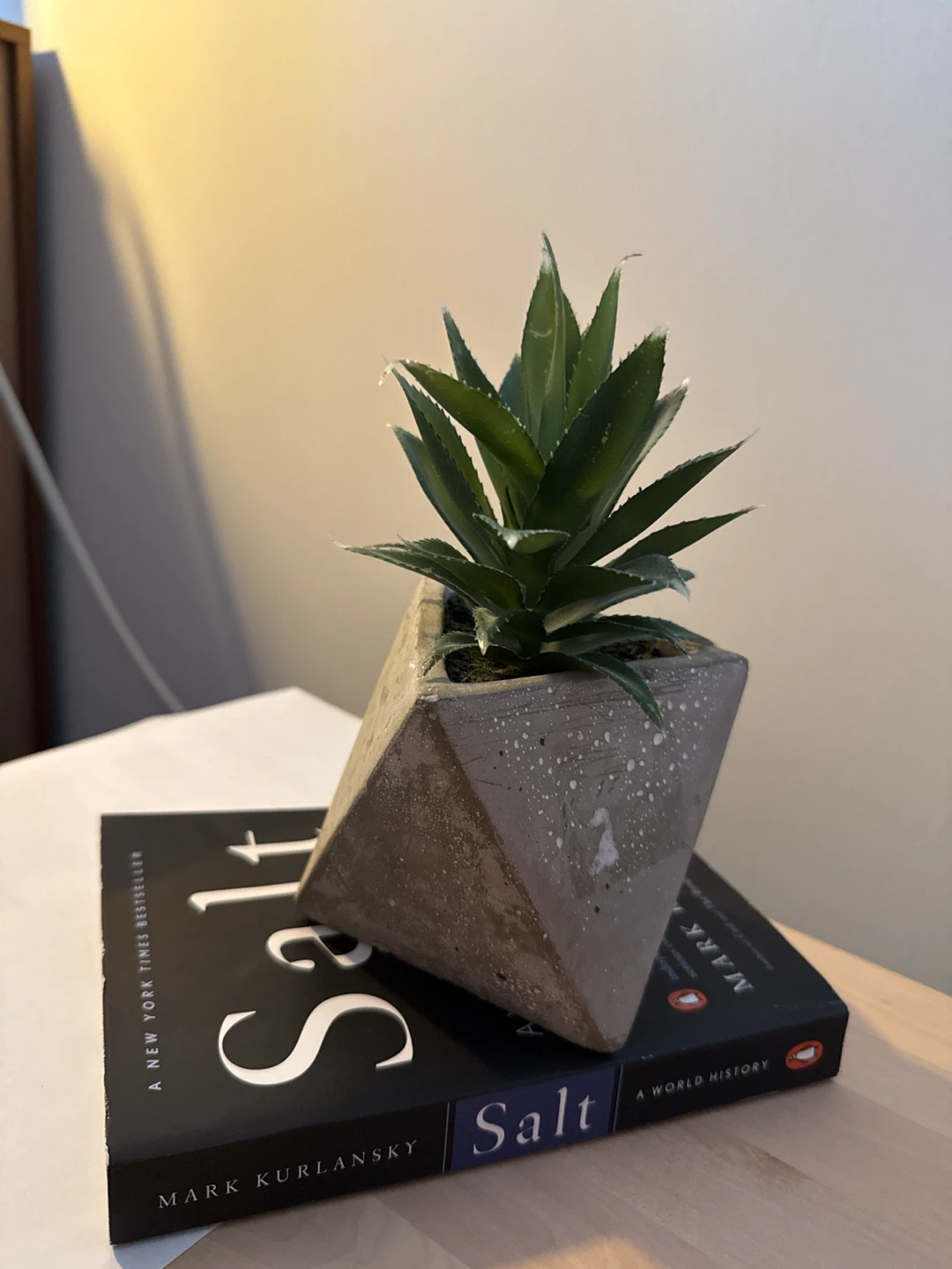 Mark Kurlansky "Salt: A World History" Book