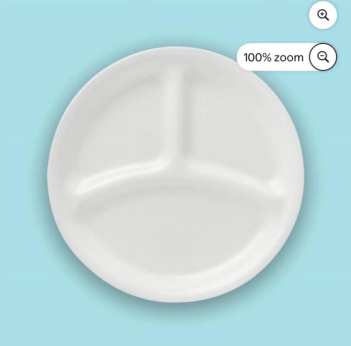 Never Used White Divided Dinner Plate