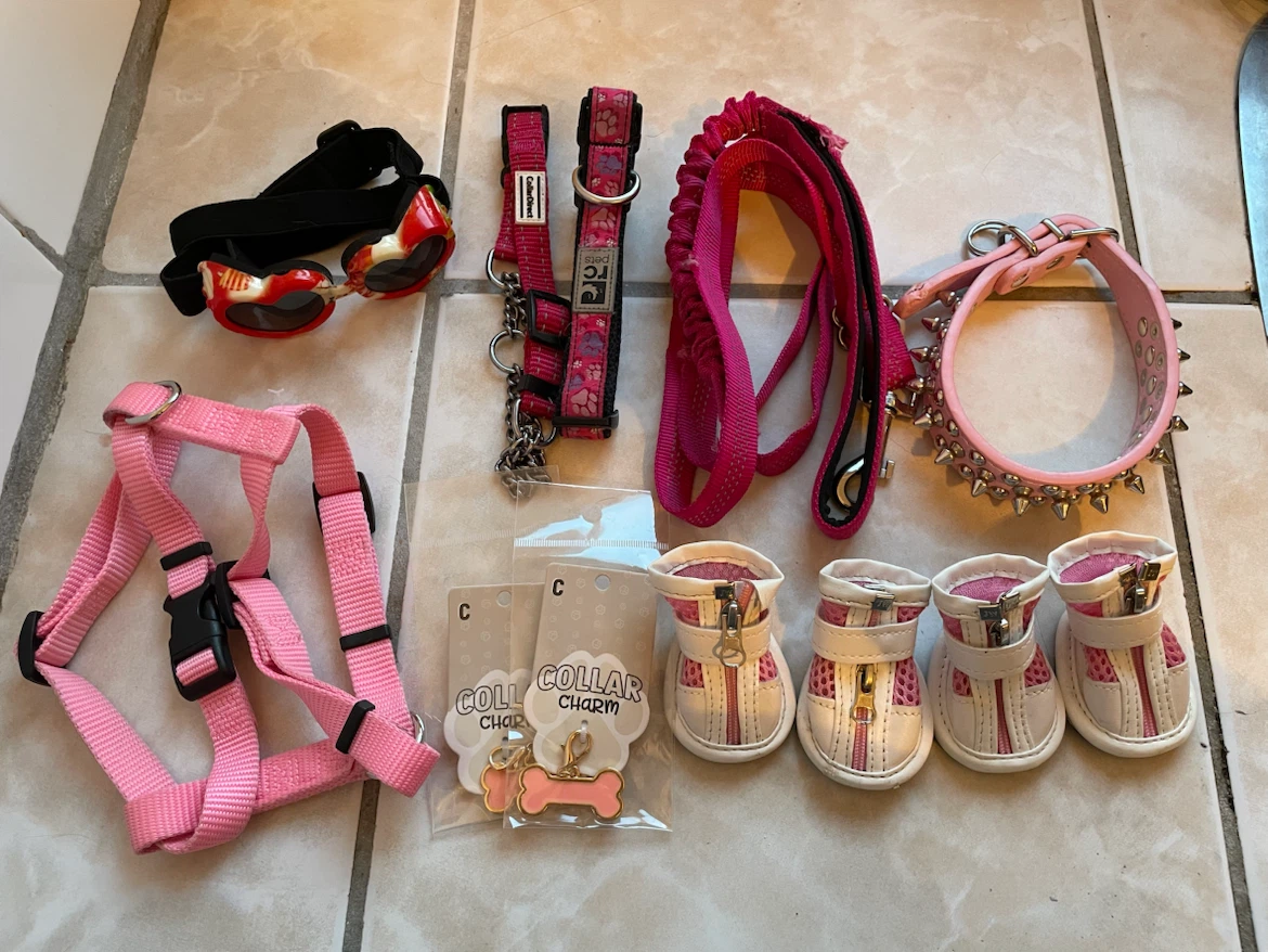 Small Pink Dog Harness, Collars, Etc Lot
