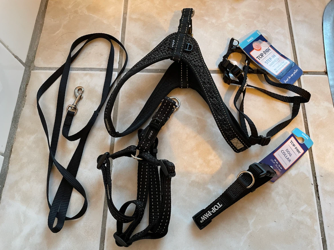 Small Dog Black Harnesses & Collar Lot