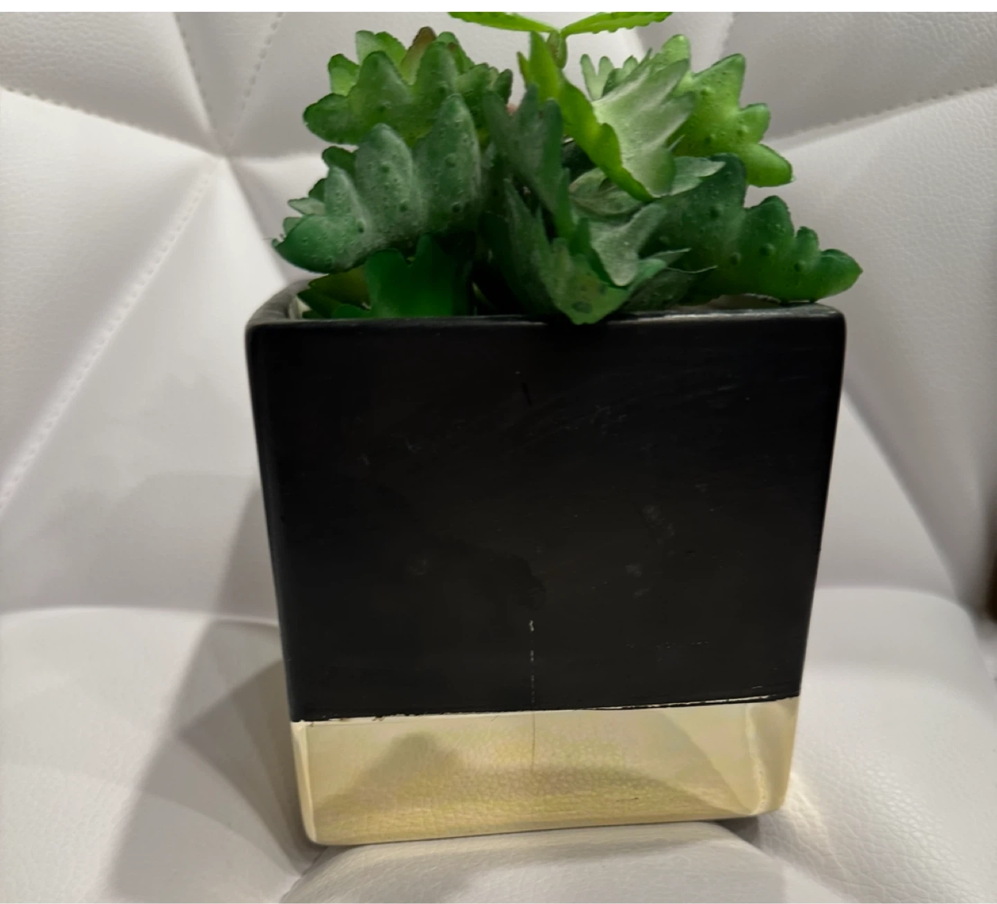 HOMESENSE Faux Succulent in Black & Gold Pot
