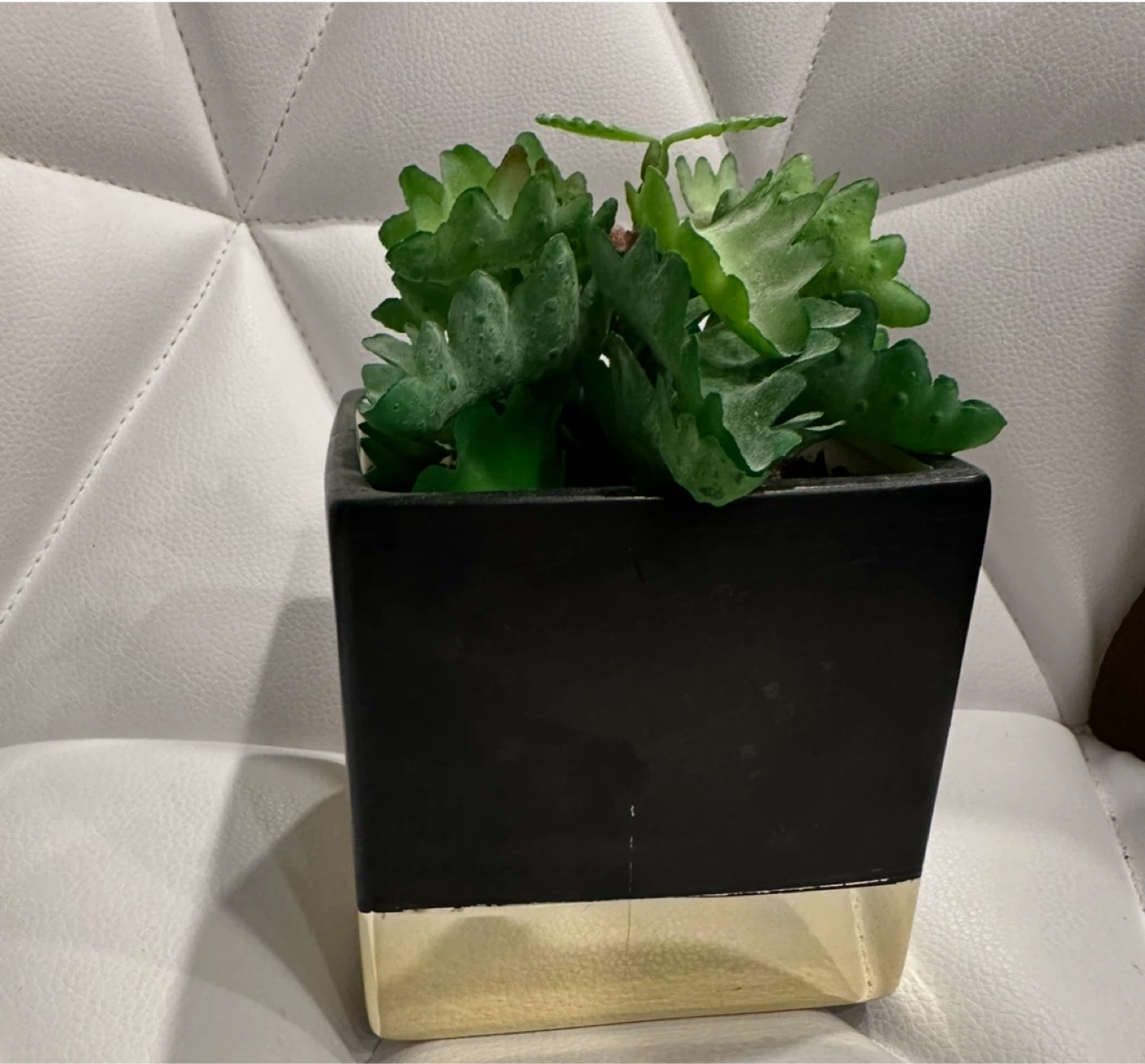 HOMESENSE Faux Succulent in Black & Gold Pot - photo 2