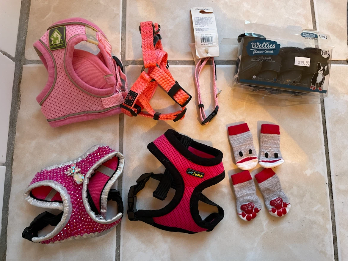 XXS Dog Harnesses, Booties, Socks Lot