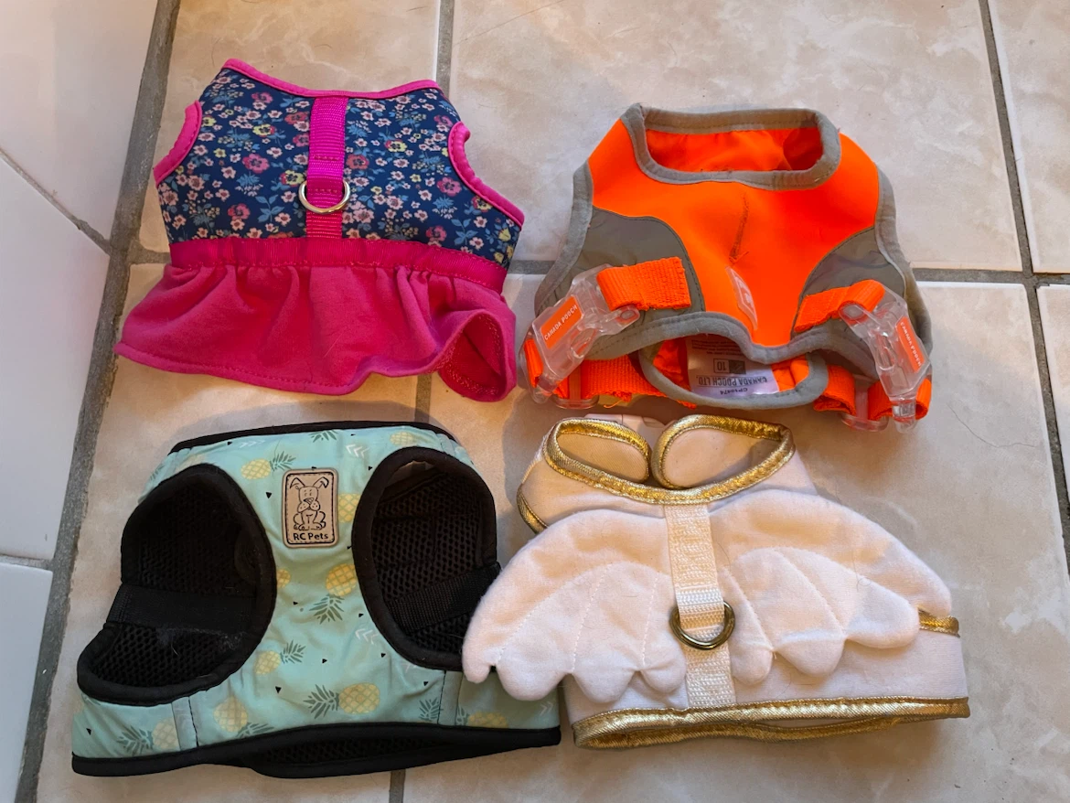 XS Dog Harnesses Lot
