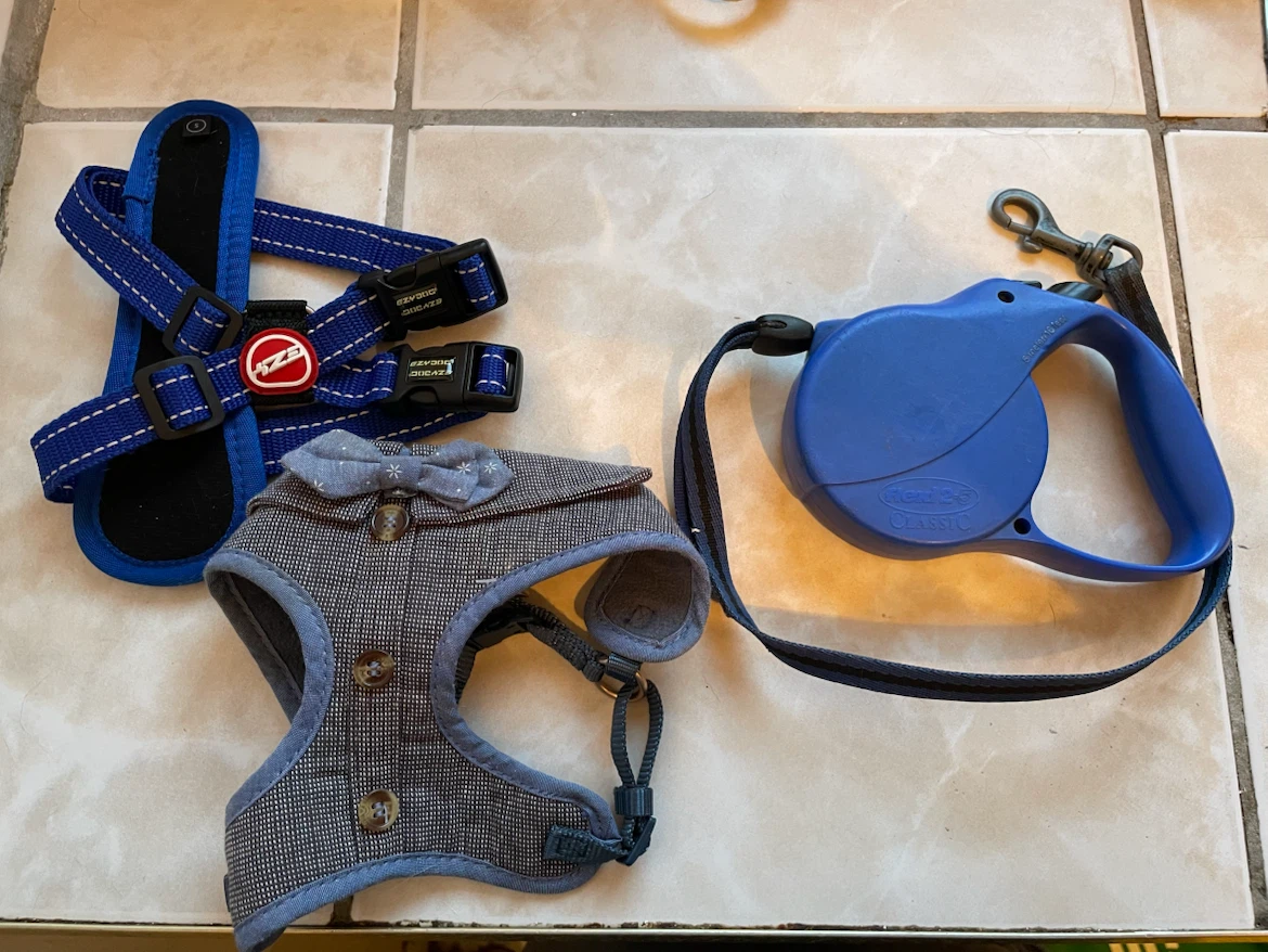 XS Dog Retractable Leash & Harnesses Set