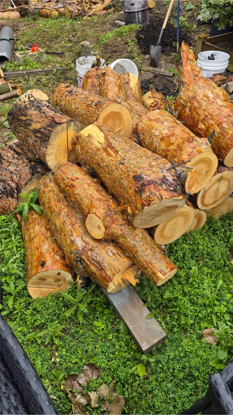 Firewood Logs