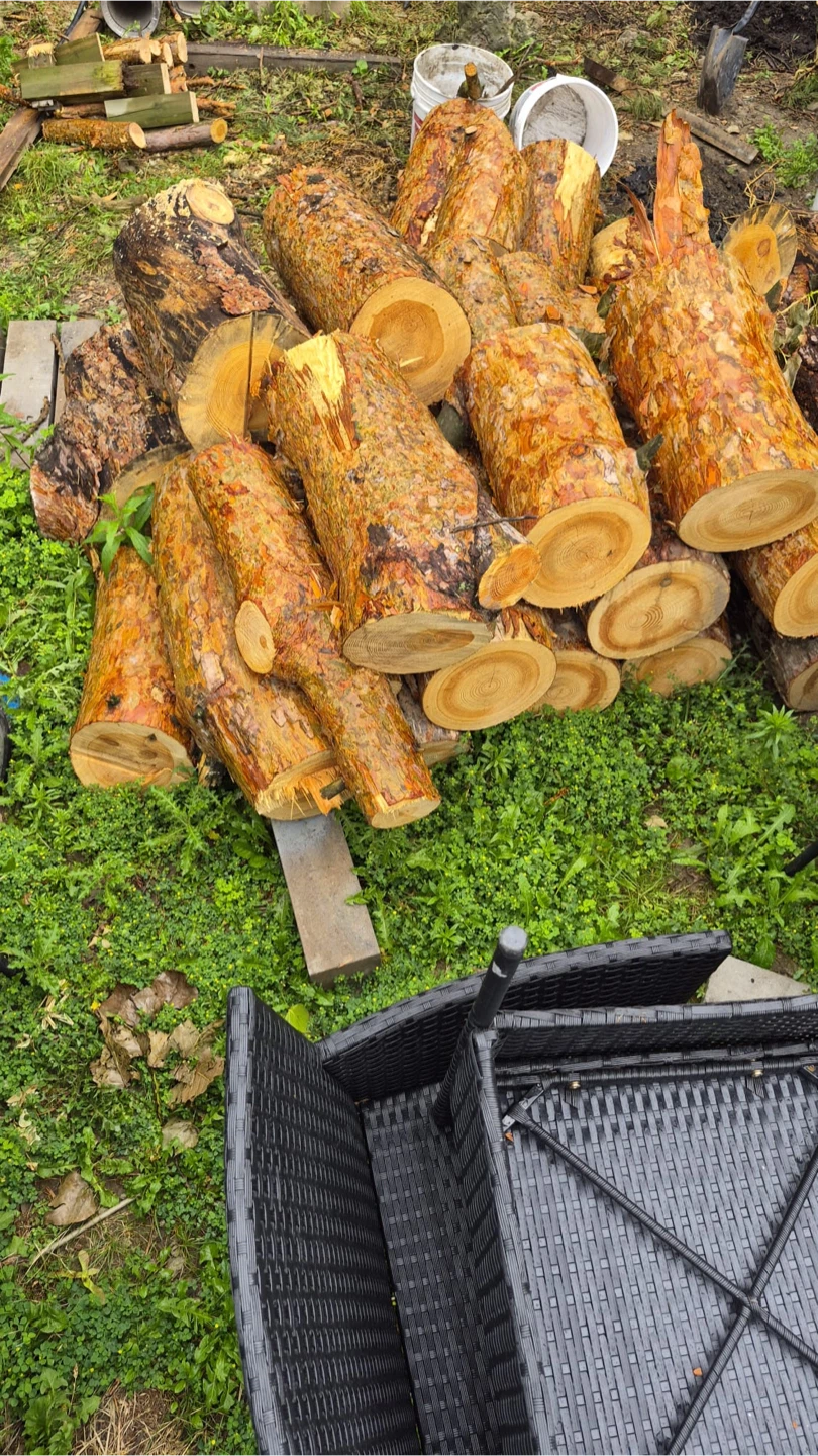 Firewood Logs - photo 2