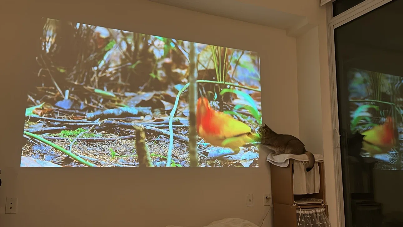 LG CineBeam PF510Q Full HD (1920X1080) Smart Portable Projector