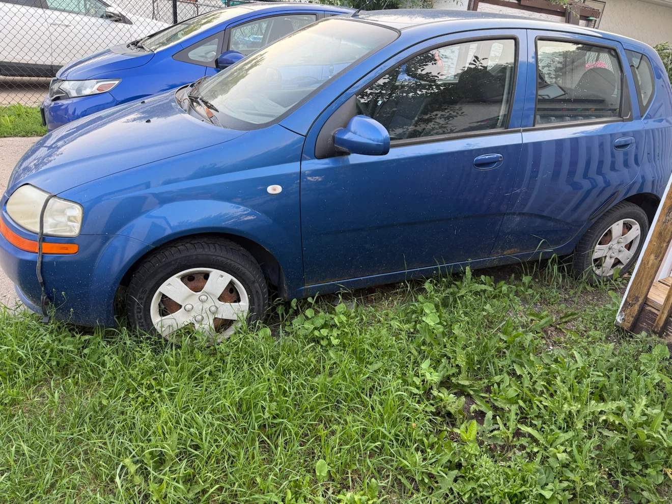 Blue Chevrolet Aveo - photo 4
