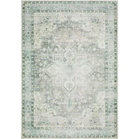 Area Rug
