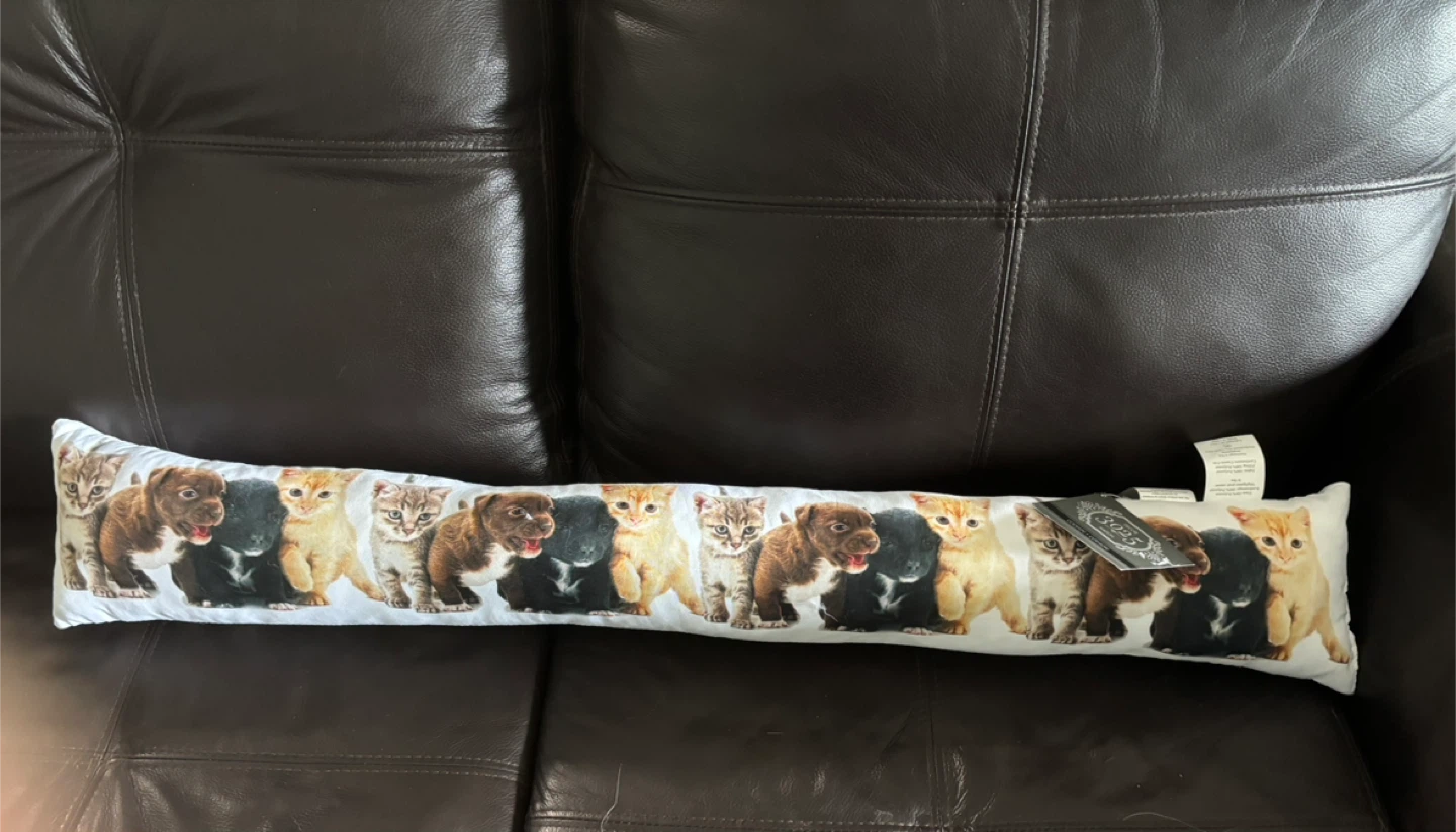 Decor 3025 Maison Cushion with Kittens and Puppies Print