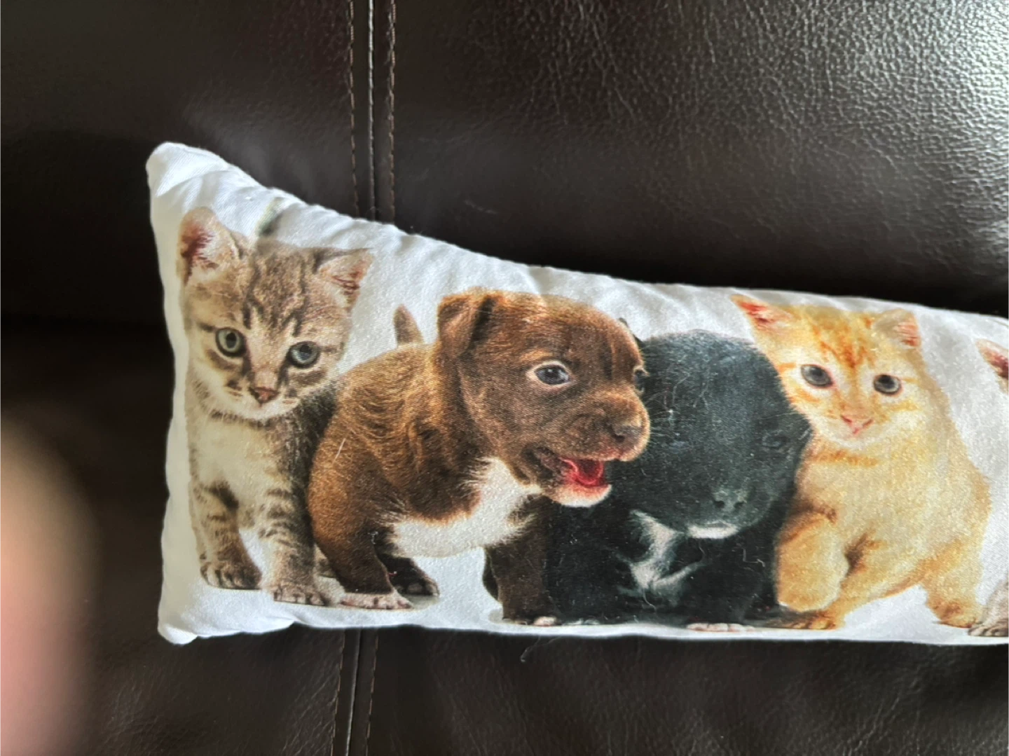 Decor 3025 Maison Cushion with Kittens and Puppies Print - photo 3