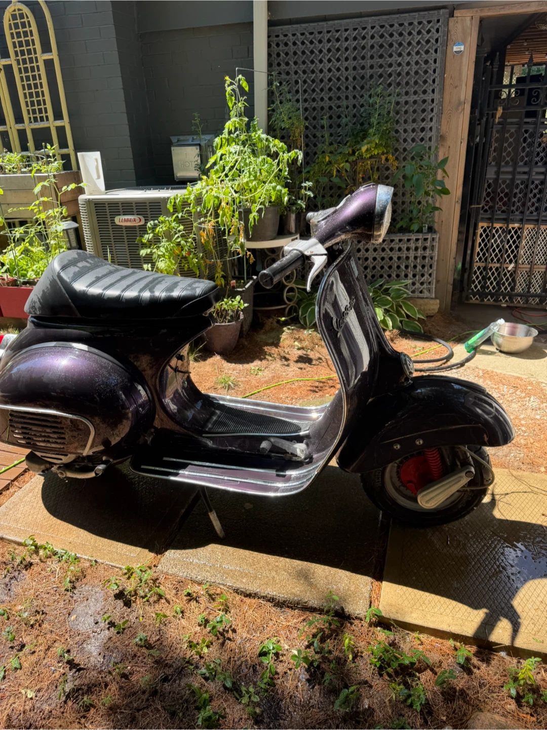1964 vbb 150 - photo 4