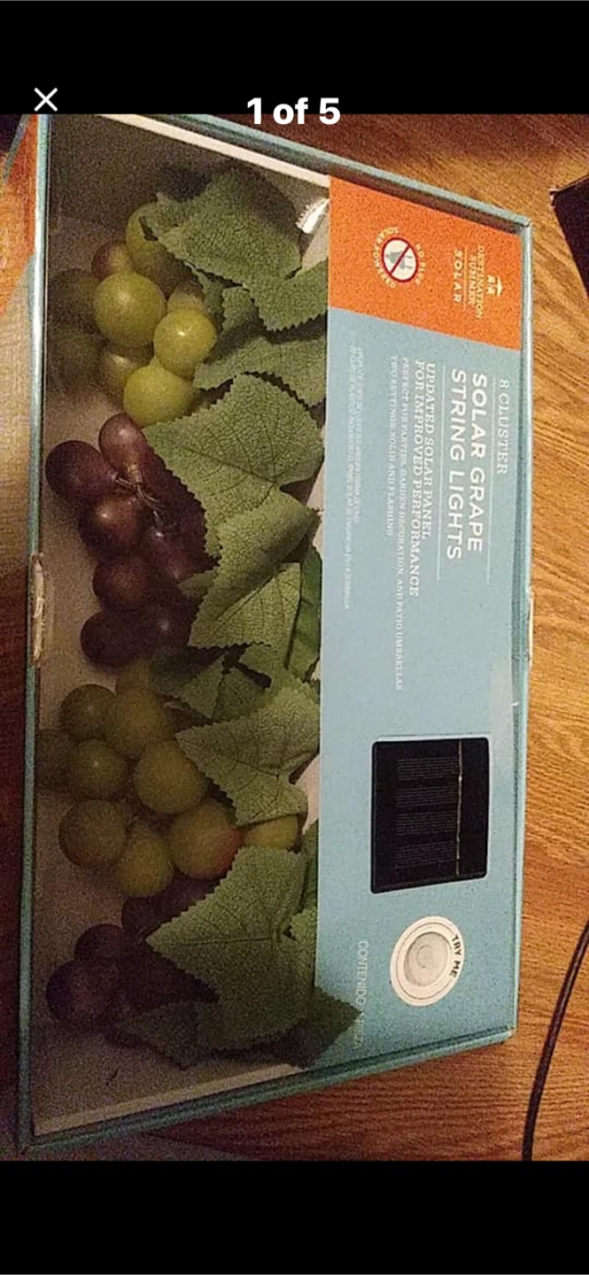 Destination Summer Solar Grape String Lights