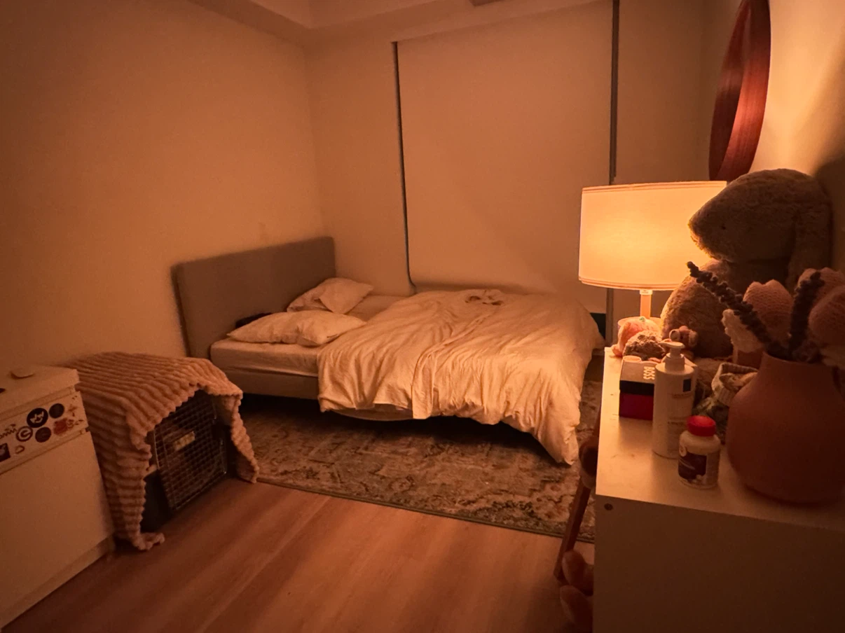 Ikea Gladstad Queen Bed - photo 2