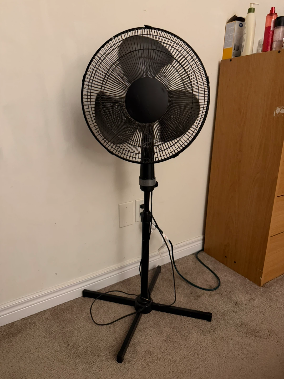 Black Standing Fan