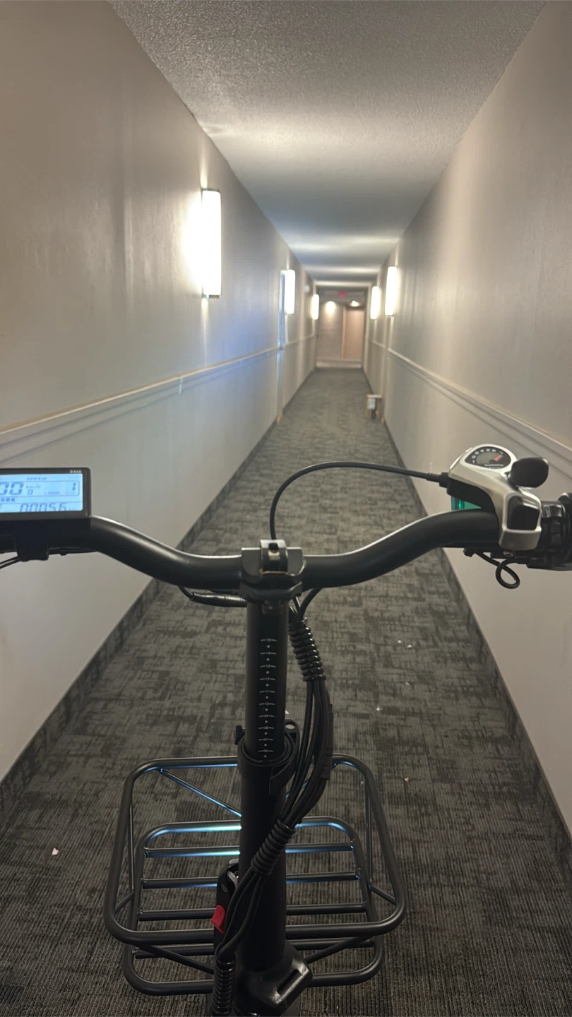 TankX Electric Bike fat 20” cargo - photo 3