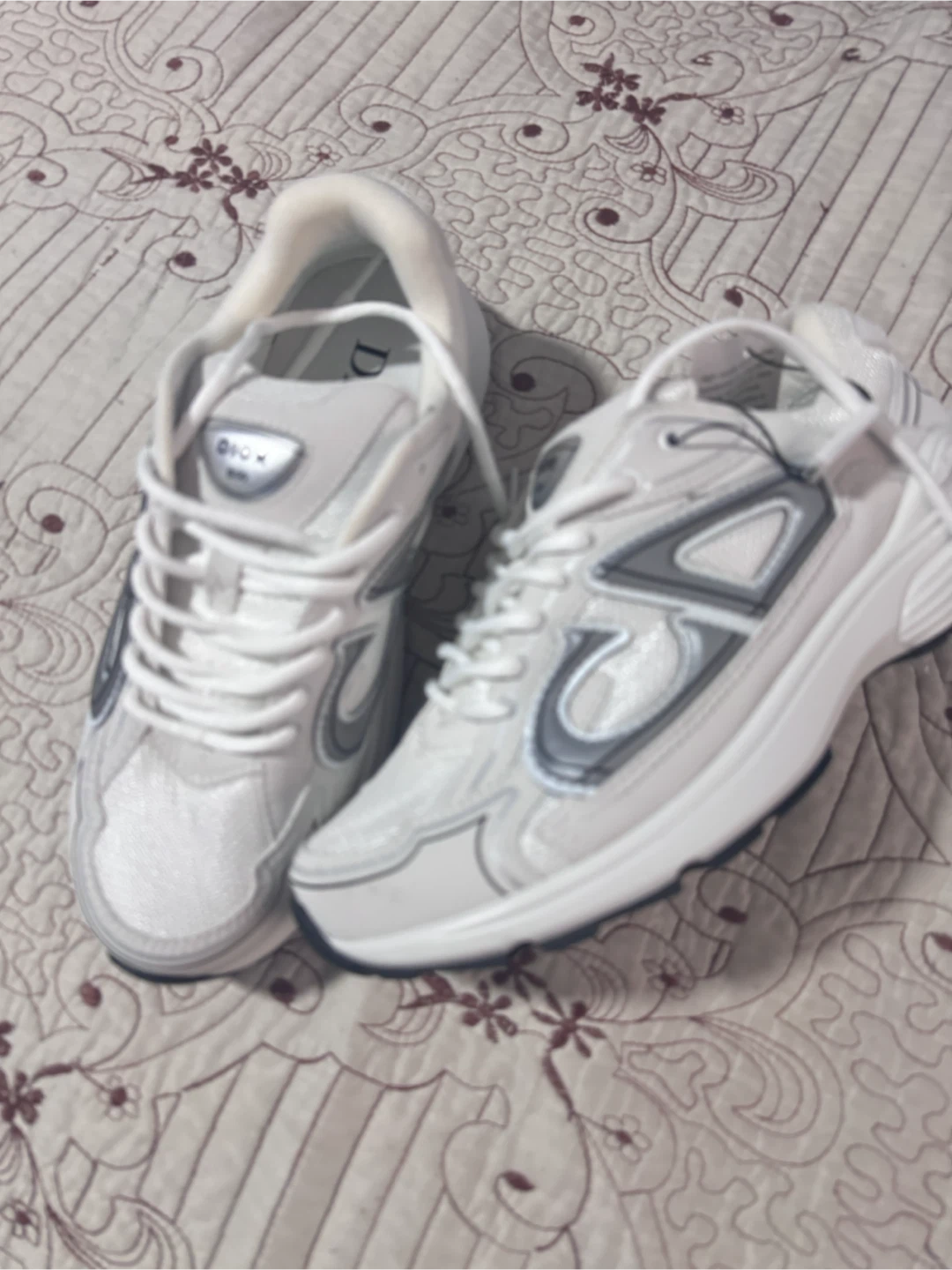 Christian Dior Sneakers White/Silver - photo 2