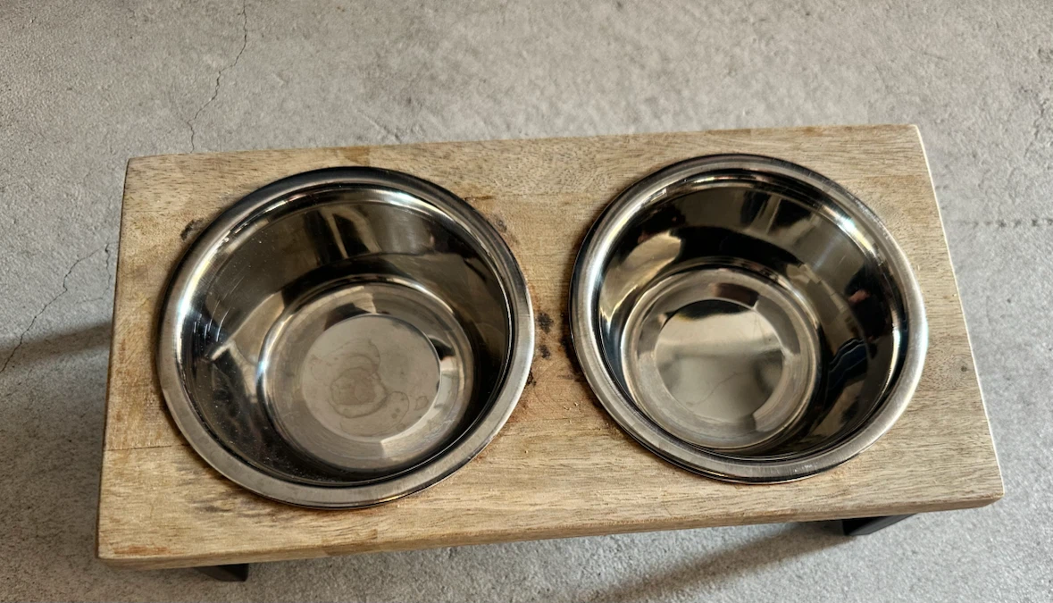 Pet Bowl