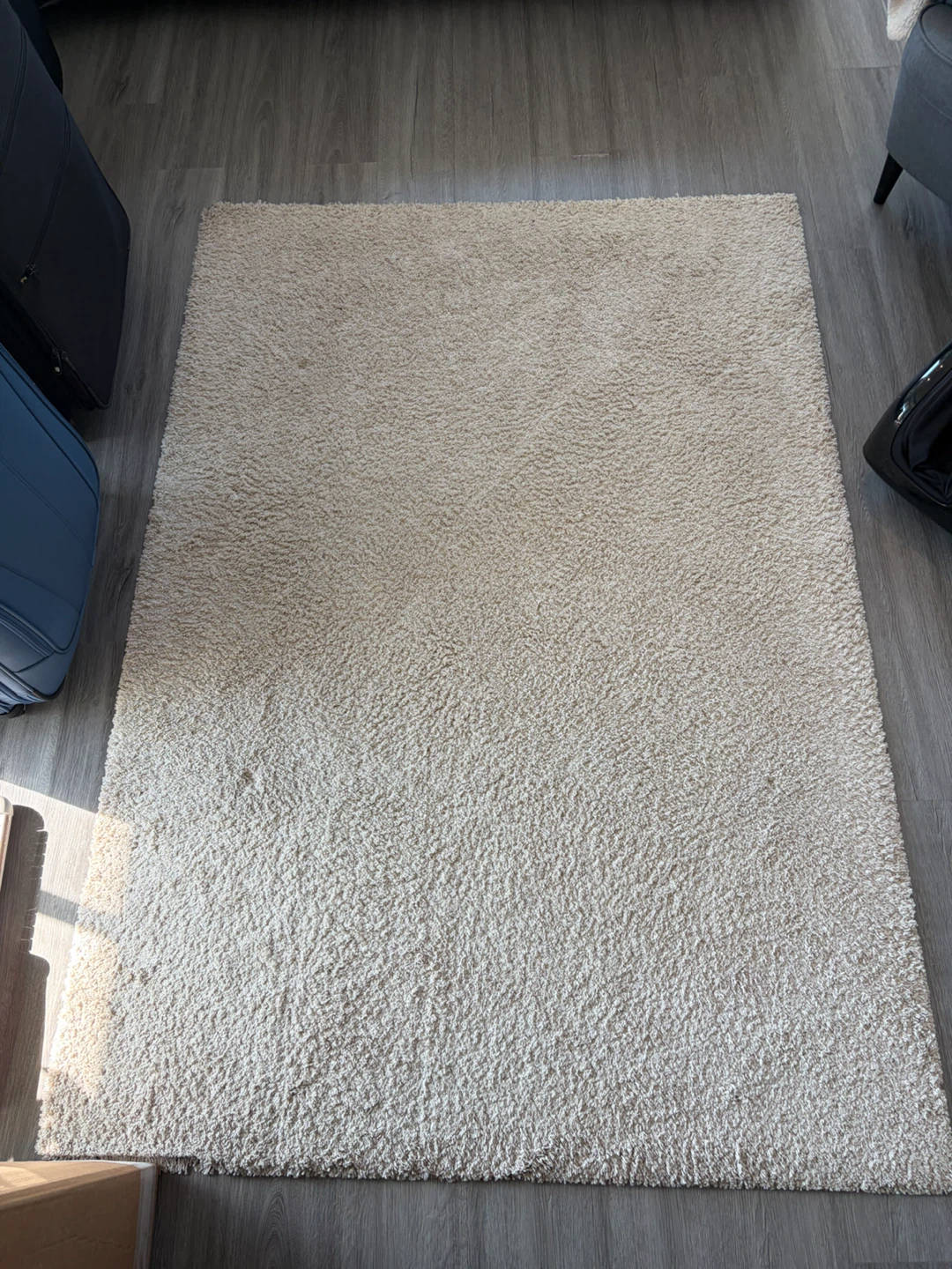 Cream Shag Area Rug