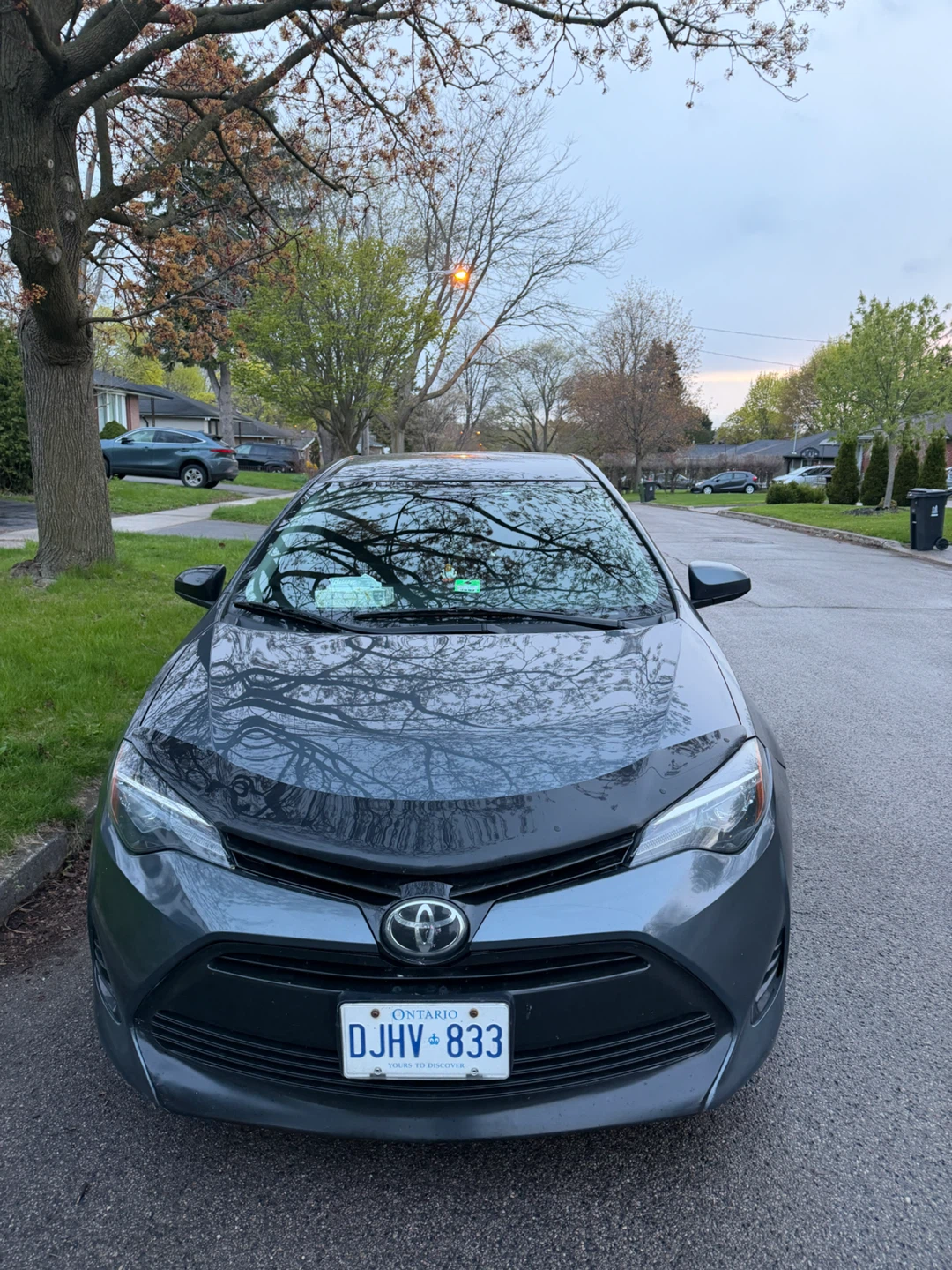 Used Toyota Corolla